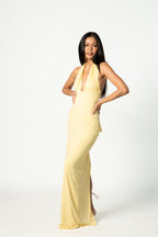 Halter Neck Open Back Long Dress