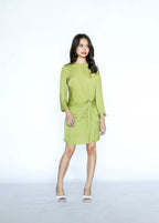 Lime Green Long Sleeves Mini Dress