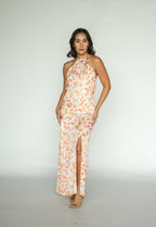 Imprime Printemps Fleur Maxi Dress
