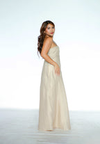 Tube Nude Maxi Dress