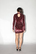 Velvet Burgundy Mini Dress